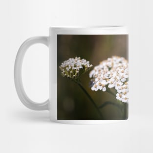 Close-up of yarrow flowers Mug